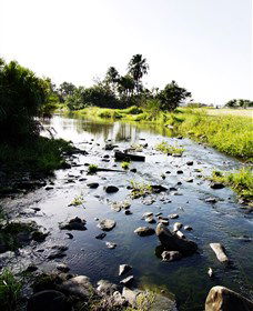 Gooseponds, North Mackay - Tourism Brisbane 3