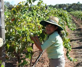 Domaine Asmara - Tourism Brisbane 6