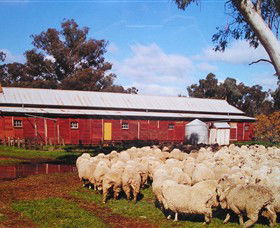 Savernake Day Tours - Tourism Brisbane 1