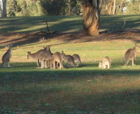 Savernake Day Tours - Tourism Brisbane 4