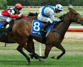 Ballarat Turf Club - Brisbane Tourism 3