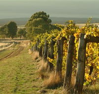 Captains Creek Organic Wines - Tourism Brisbane