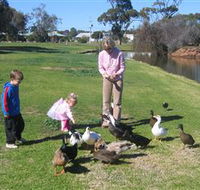 Roy Little Park Merredin - Brisbane Tourism