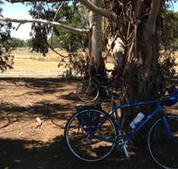 Murchison Rail Trail - Tourism Brisbane