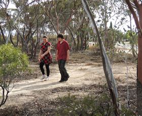 Tamma Parkland - Tourism Brisbane 0