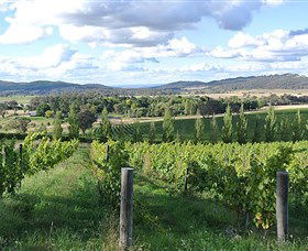 Sassy Wines - Tourism Brisbane 0