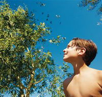 Bushwalking on Keswick Island - Tourism Brisbane