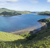 The Cremer Shipwreck Dive Site - Keswick Island - Tourism Brisbane