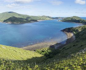 The Cremer Shipwreck Dive Site - Keswick Island - Tourism Brisbane 0