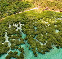 The Singapore Shipwreck Dive Site - Keswick Island - Tourism Brisbane