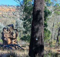 Eualdrie walking track - Tourism Brisbane