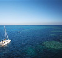 Bait Reef and Garys Lagoon Dive Site - Brisbane 4u