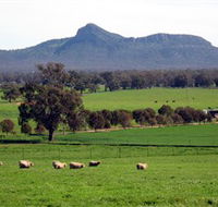 The Rock Nature Reserve - Brisbane Tourism