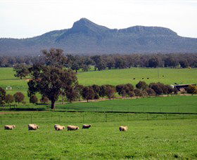 The Rock Nature Reserve - Brisbane Tourism 0