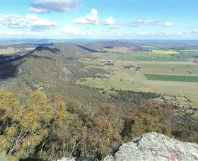 The Rock Nature Reserve - Brisbane Tourism 3