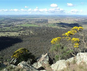 The Rock Nature Reserve - Brisbane Tourism 4