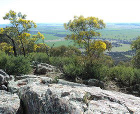 The Rock Nature Reserve - Brisbane Tourism 6