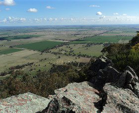 The Rock Nature Reserve - Brisbane Tourism 5