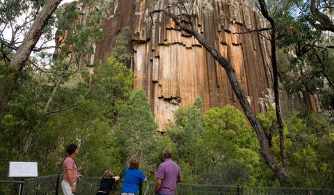 Sawn Rocks Walking Track - Tourism Brisbane 0