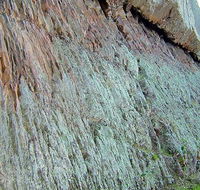 The Rock Nature Reserve - Kengal Aboriginal Place - Brisbane Tourism