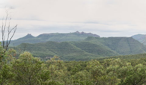 Deriah Aboriginal Information Bay - Tourism Brisbane 3