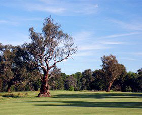 Corowa Golf Club - Tourism Brisbane 5