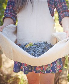 Lake Moodemere Estate - Brisbane Tourism 1