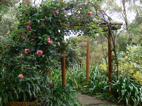 Timandra By The Sea - Tourism Brisbane 9