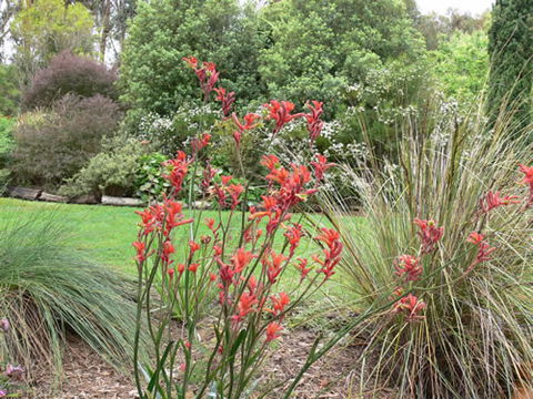 Timandra By The Sea - Tourism Brisbane 11