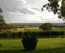 Wollundry Grove Olives - Brisbane Tourism 1