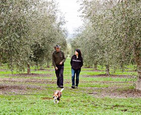 Wollundry Grove Olives - Brisbane Tourism 3