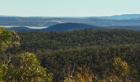 Conimbla National Park - Tourism Brisbane 1