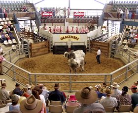Gracemere Exhibition Complex - Tourism Brisbane 1