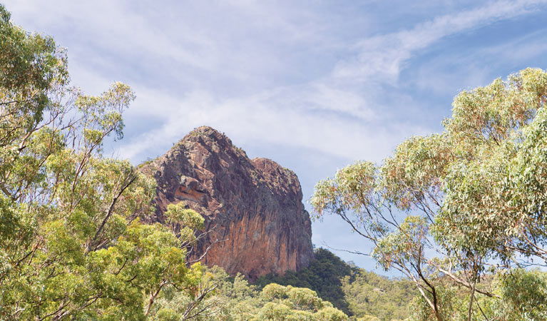 Bullawa Creek NSW Tourism Brisbane