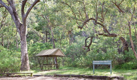Green Camp - Tourism Brisbane 1