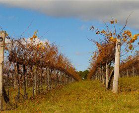 Charles Sturt University Winery Wagga Wagga - Brisbane Tourism 3