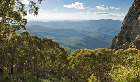 Kaputar Scenic Drive - Tourism Brisbane 1