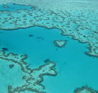Heart Reef - Brisbane 4u
