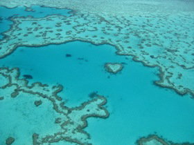 Heart Reef - Brisbane Tourism 0