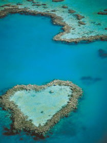 Heart Reef - Brisbane Tourism 3