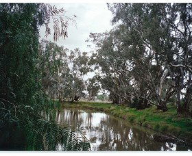 Henty Government Dam Nature Reserve - Brisbane Tourism 0