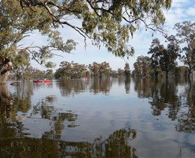 Henty Government Dam Nature Reserve - Brisbane Tourism 1