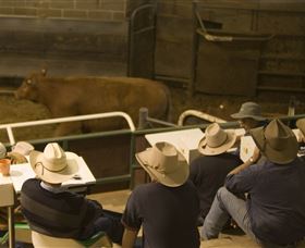 Livestock Marketing Centre - Tourism Brisbane 2
