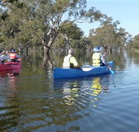 Doodle Cooma Swamp - Tourism Brisbane