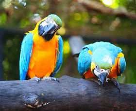 The Rockhampton Zoo - Tourism Brisbane 2