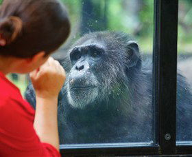 The Rockhampton Zoo - Tourism Brisbane 0