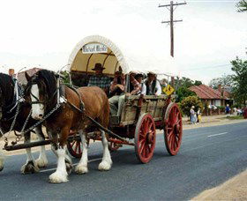 The Trek Wagon Walla Walla - Brisbane Tourism 1
