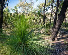 Staughton Vale VIC Tourism Brisbane