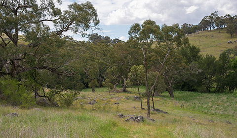 Verandah Cave - Tourism Brisbane 1