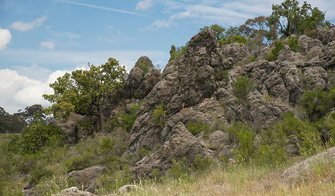 Verandah Cave - Tourism Brisbane 0